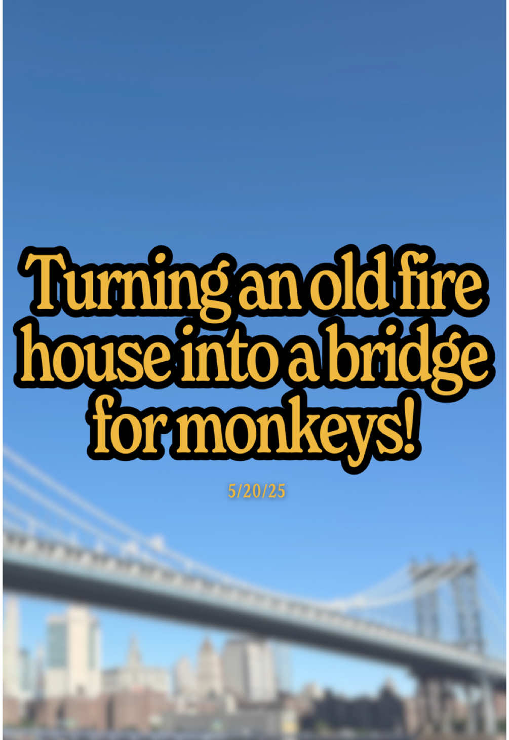 They turned an old fire house into a bridge for monkeys… Jo Leen Yap’s community science Facebook group was determined to help the dusky langur safely cross dangerous roads, so they created this amazing plan.  What’s your unique solution to a problem in your community? (I learned about Jo’s awesome project from @langurprojectpenang and my favs at @Good News by Good Good Good —  I’ll send source 🔗s in my Friday newsletter!)