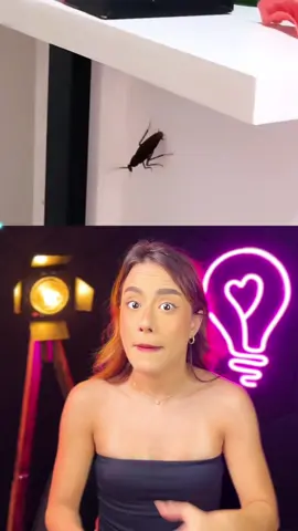 baratas que ARRUINARAM vidas