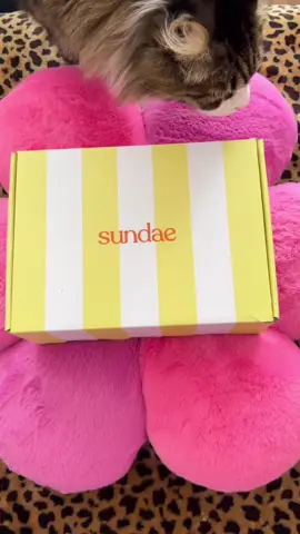 🫧🫧🫧✨✨🫧✨✨🫧🫧🫧#sundae #skincare #girlypop #girlthings #body #fyp #aestheticvibes #catlovers 