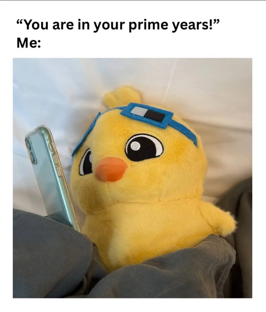 #meetquack #quackplushie #quacklives 