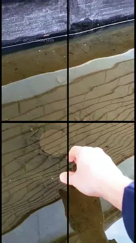 #uncloggingdrains #drain#relaxingvideos #cleaning #satisfying #satisfyingvideos #fyp 