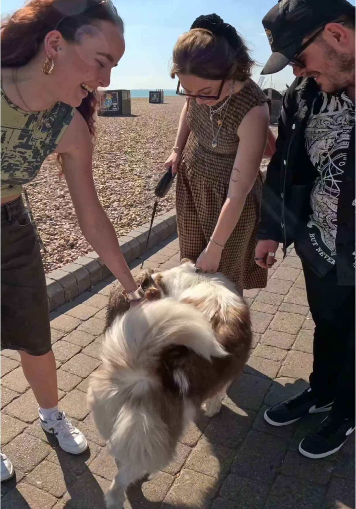 Interactions with my dog!!  #husky #beach #dogs #puppy #viral #pets #fypp #foryou #foryoupage 