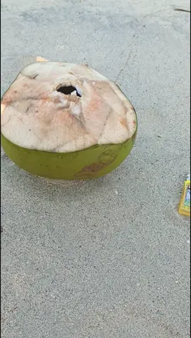 🏝️🌊🥥