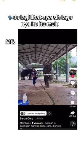 lagu nya sama gajah nya cocok jadi lucu #anakgajah #gajah 