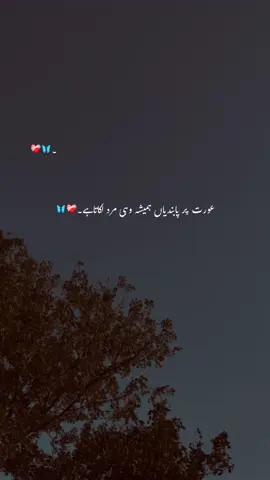 عورت پر ہمیشہ پابندیاں وہی مرد لکاتا ہیں۔❤️‍🩹 #1millionaudition#foryoupage#poetrystatus#aesthetic#video#grow#account#idkdanyyy#viral#