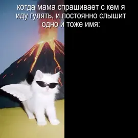 #friends #recommendations #fyp #outside #cats 
