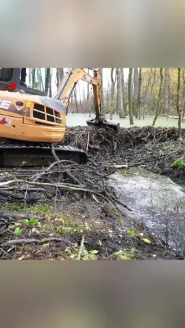 The Largest Epic Dam Ever Seen Removed to Flooded forest #dam #damremoval #busted #remove #flood #viralvideo #floodprevention #excavator #excavationlife #busting #removing 