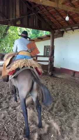 firme na traia  #muar #lida #cowboy #peao #tradicao #fouryou #tropa #doma #modadeviola #rodeio 