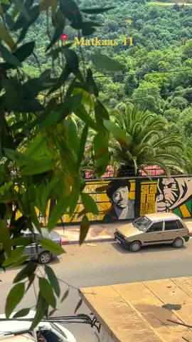 Jskabylie  #ultras #tag #tiziouzou #matkaas #kabyle #jskabylie💛💚 #jsk #kabylie 