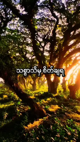 #သစ္စာရွှေစည်ဆရာတော်အရှင်ဥတ္တမ၏တရားတော် #ဓမ္မဒါန #တရားနာ၍စိတ်ရောကိုယ်ပါအေးချမ်းကြပါစေ😊🙏🌹 #တရားနာယူချင်းဖြင့်စိတ်အေးချမ်းပါစေ🙏🙏🙏 