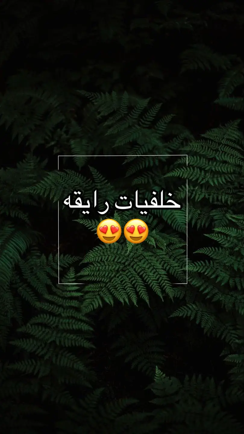 #صور #ايفون #خلفيات #خلفيات_جوال #fyp #اكسبلورexplore #مالي_خلق_احط_هاشتاقات #الشعب_الصيني_ماله_حل😂😂 #اكسبلور #تيك_توك #ti̇ktok 
