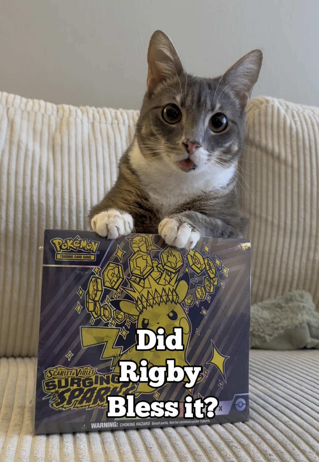 Ep22-Did Rigby Bless it? or Did She Curse it?: SURGING SPARKS ETB #fyp #pokemon #pokemontcg #pokemoncommunity #catsoftiktok #packopening #rigbycat 