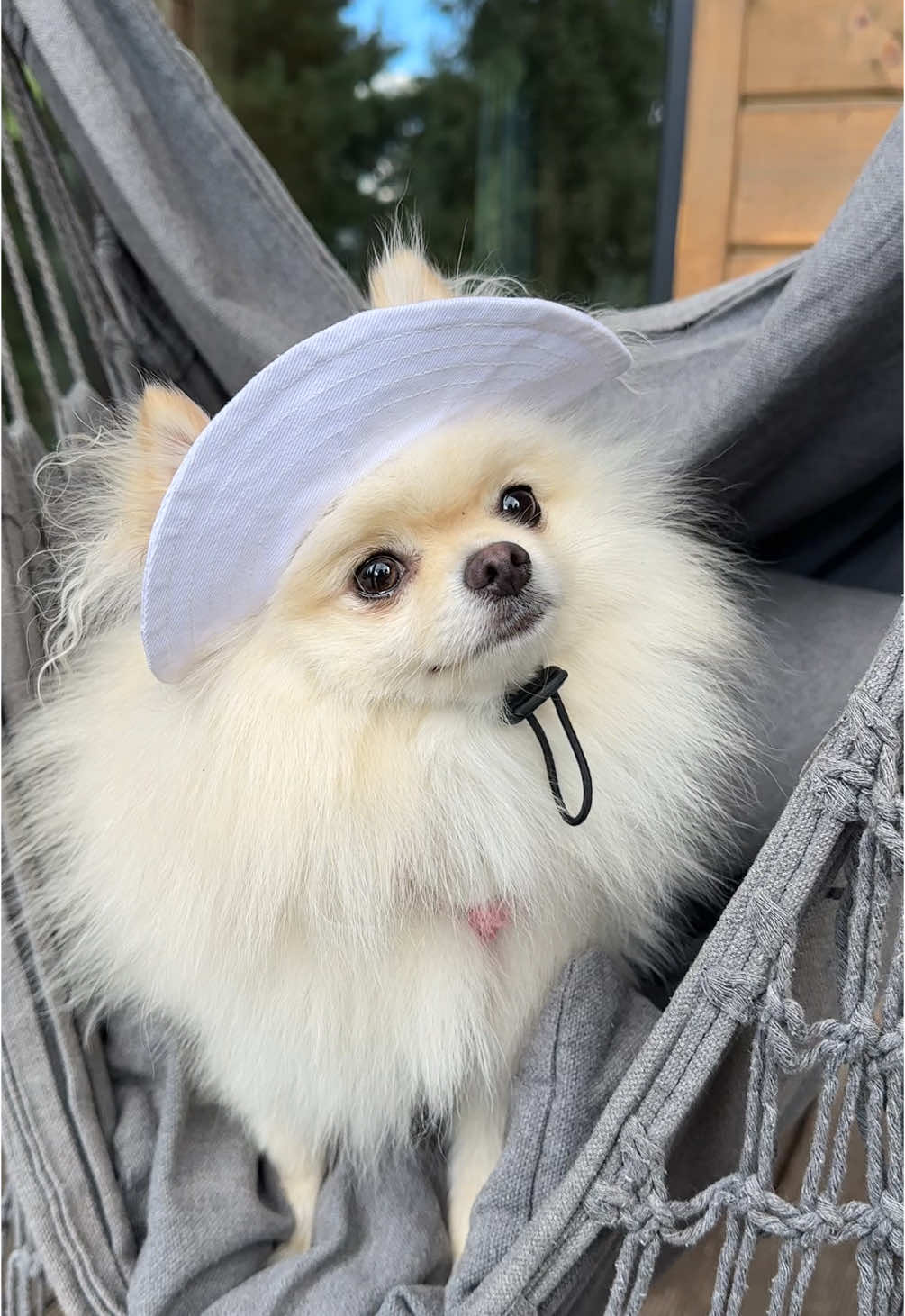 Збулась 🥰