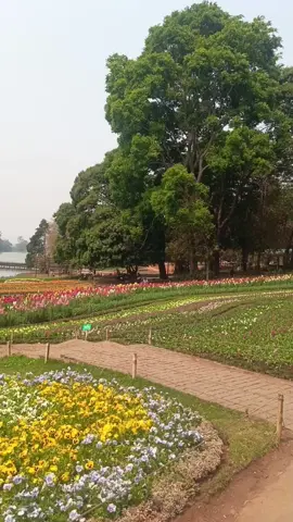 #ခါးသီးသောအမှန်တရား #သံသရာခရီးသွားဧည့်သည် #2025 #ttmyanmar #memories #သောကအပူမှန်သမျှငြိမ်းအေးကြပါစေ #fyp #ဘဝအမောတွေပြေကြပါစေ #ကမ္ဘာမြေကြီးသာယာလှပပါစေ😇 #azm #now #pyinoolwin#လုံးစုံများစွာသတ္တဝါဘေးရန်ကင်းပါစေ🙏🙏🙏  @thwet.thwet.htoo @thwetthtoo7 