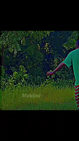 Red Card 🟥 🤣🤣#maldini7 #fytiktok #somalitiktok12 #viewsproblem😭 