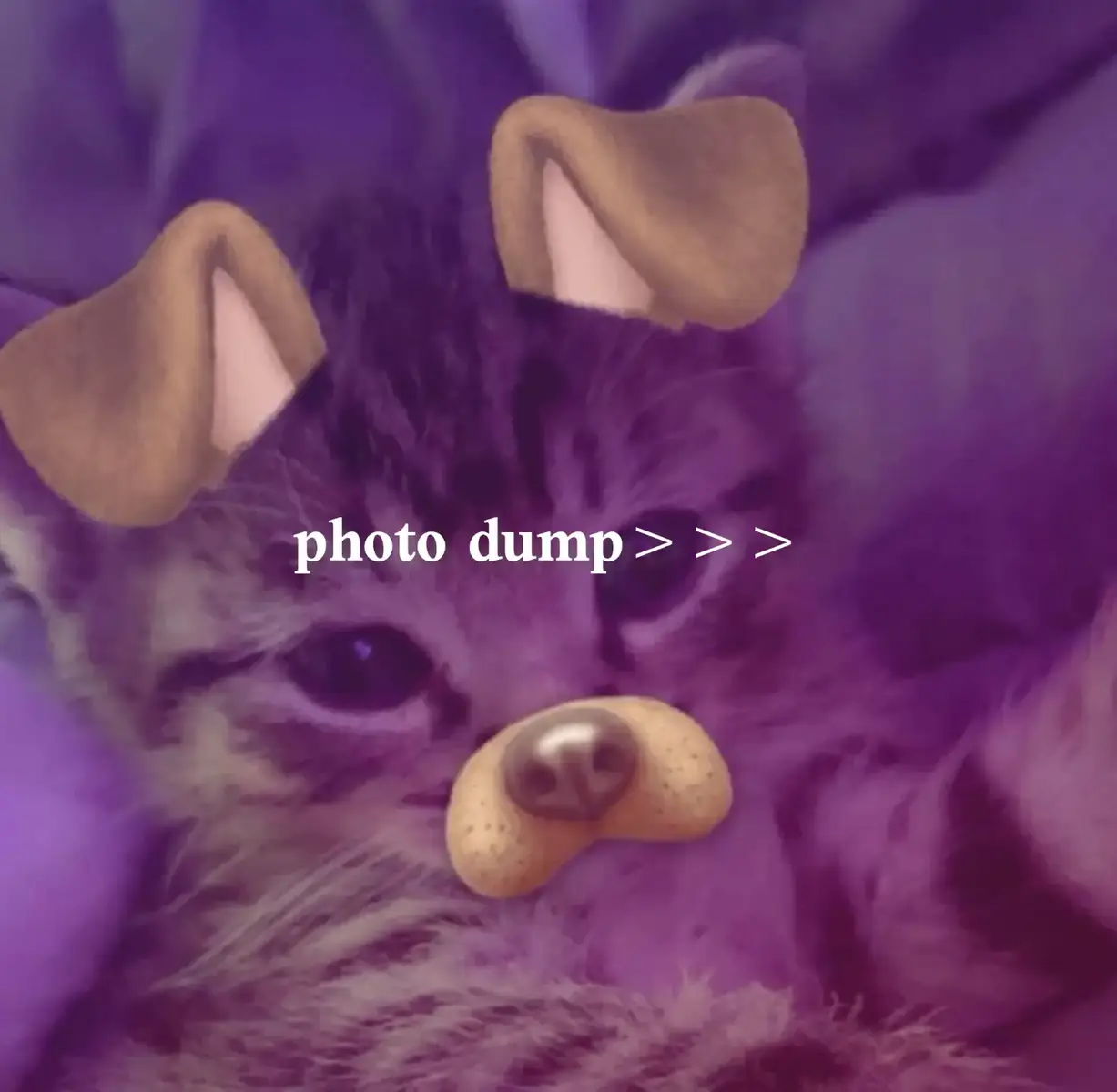 @* @𝚏𝚊𝚢☘︎ @bullshit🗡  #💗 #photos #fpyシ #get_out 