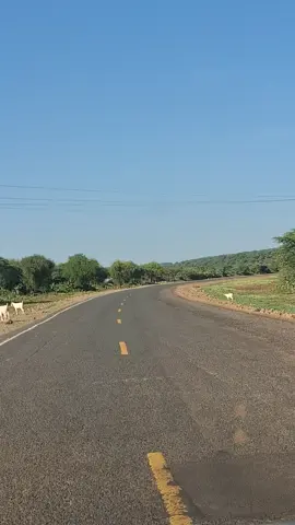 Baringo Wirld and erternal. Marigat Nakuru Road #kalenjintiktokers🥰 #marigattiktokers #tugen #keiyotiktoktokers #eldorettiktokers #creatorsearchinsights #jyp #baringotiktoker #kabarnet #kalenjintiktok #nakurutiktokers #marigattiktokers 
