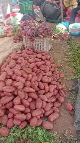 ##السوق_الاسبوعي 