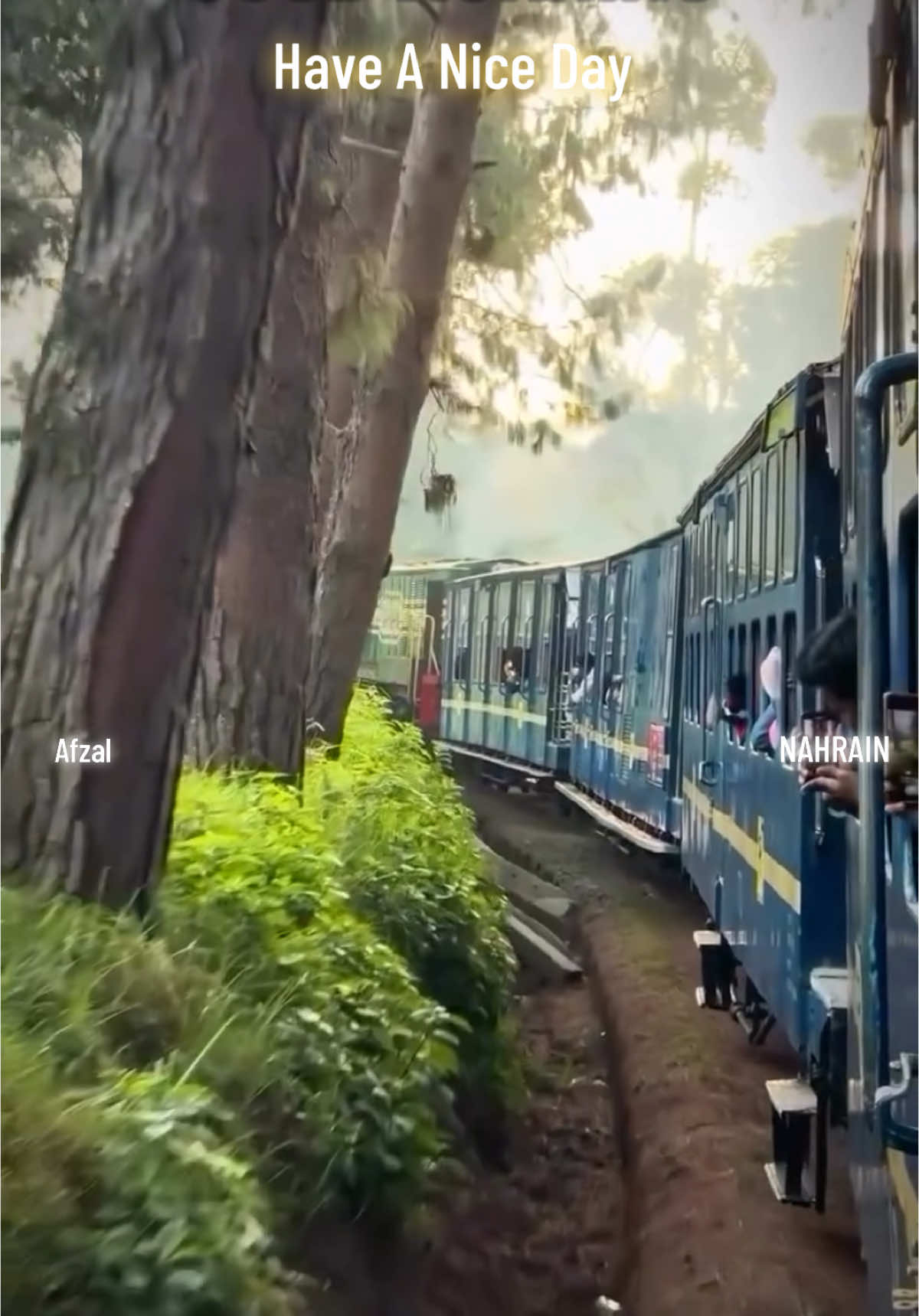 🩷 ഓർമകളുടെ  ശ്രീകോവിലിൽ  🩷കാത്തു സൂക്ഷിക്കാൻ  നനവൂറുന്ന  🩷ഒരുപിടി ഓർമകൾ സമ്മാനിച്ച്  🩷നീ പടിയിറങ്ങി പോയി എങ്കിലും  🩷എത്ര  മായ്ക്കാൻ  ശ്രമിച്ചിട്ടും മനസ്സിൻ്റെ ഒരു കോണിൽ ഇന്നും മായാതെ കിടക്കുന്നു നിന്നോർമ്മൾ 💔💔💔 നിറഞ്ഞ സ്നേഹത്തോടെ ശുഭദിനം🌹🌹🌹#forest #malayalamsong #morningvibes #kerala #tamilsong #malaremounama #masanagudi #ootty 