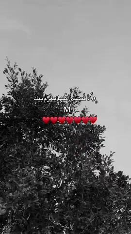 ﮼ݺ﮼يطلع🔥🥲!'#لايك__explore___ #ريلز #تصميم_فيديوهات🎶🎤🎬 #متابعه #فولو #لايكات #اغاني #تيك_توك #انستا #ليبيا🇱🇾 #M #الشعب_الصيني_ماله_حل😂😂 #طرابلس #قلبي #تصميمات #حب #الغرام #ورفلة #عد #يوزرات 