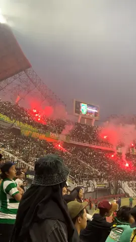 Ditunggu yaa 🏟️💚#persebaya #persebayafans #persebayaday #persebayaselamanya #bonekbonita 