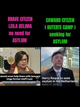 #ftv #ctto #lenirobredo #kakampink #dds8080 #fyp #ddshits #ddlis #notofakenews #2025 #saraduterte #ddsht #icc #marcos #bbm #leiladelima #harryroque 
