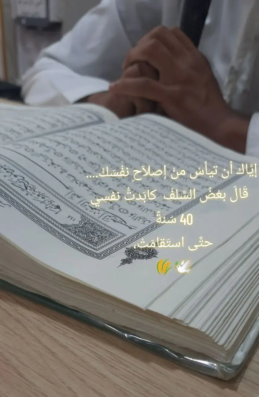 #شعب_الصيني_ماله_حل😂😂 #السلف_الصالح #اهل_الاثر #صالح_الفوزان 