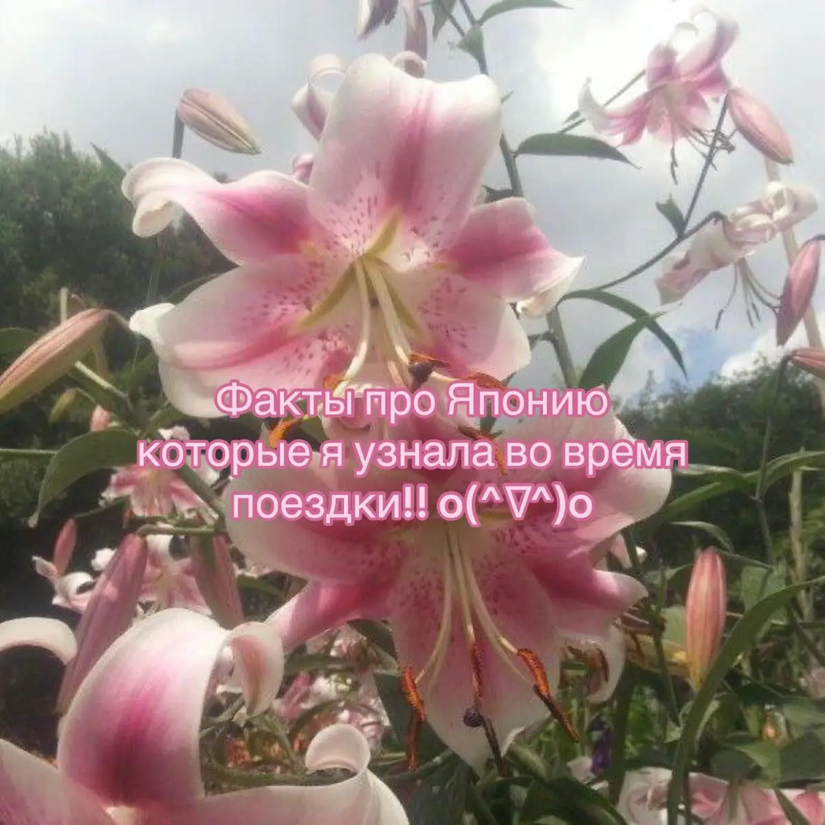 Мне чат гпт помог прям чууууть чуть(в плане орфографии)🤏🏻🤏🏻🤏🏻