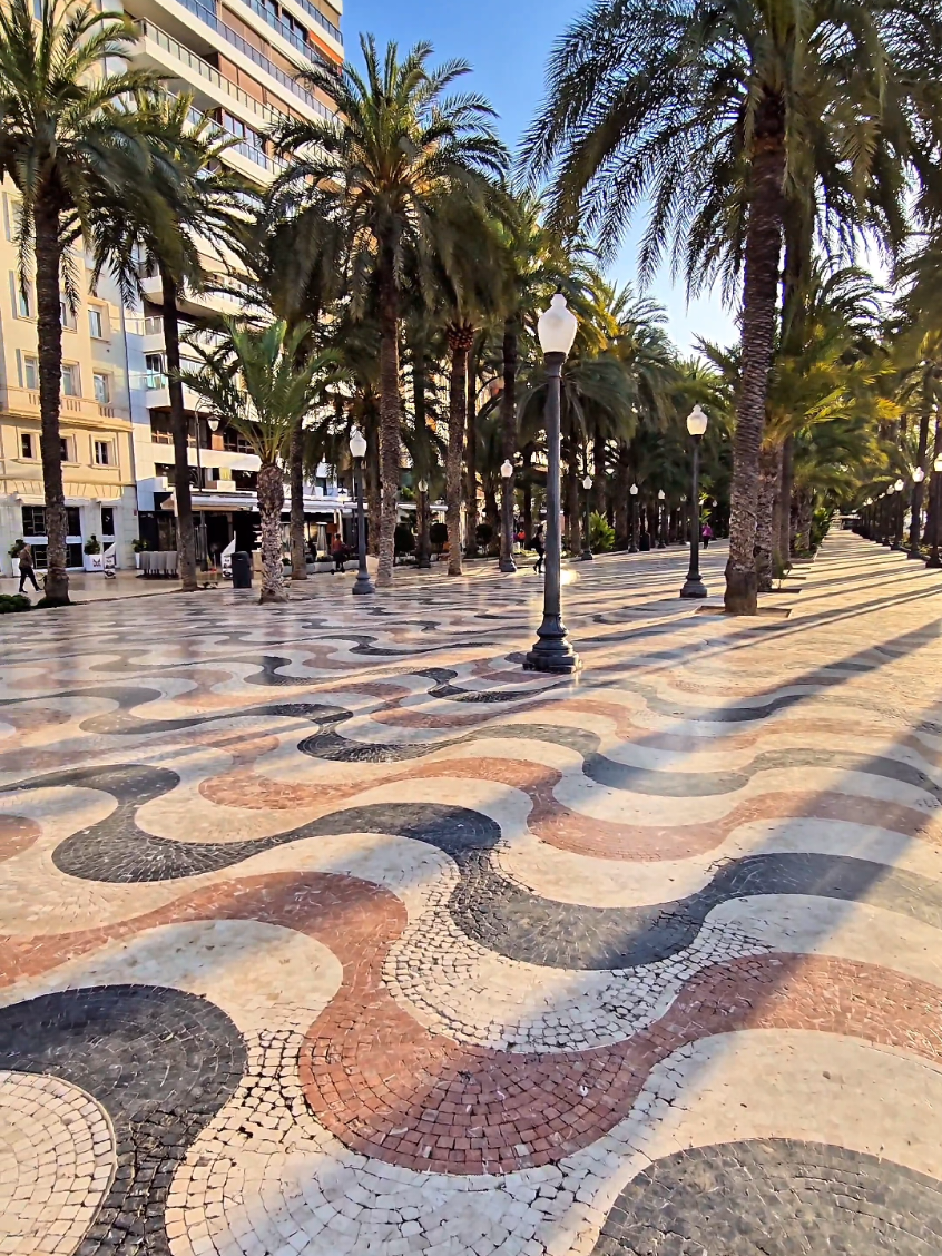 Alicante,Spain🌴🌞🌴🌞🌴 #alicantecity #travel #spain🇪🇸 #sunny #alicante #spain🇪🇸 #Summer #travelspain #españa #palmtrees #fyp #f 