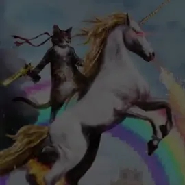 this is the most random video I’ve ever posted 😓 #targetaudience #cats #fypシ #sillycats #spacecat 