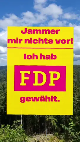 #CapCut #fyp #viral #cdu #afd #linke #grüne #spd #communism #heidi #alice 