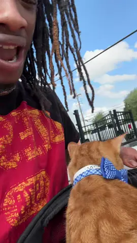Oh, he’s gonna hate this cone