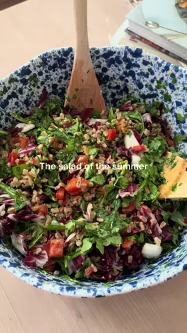 What other kind of salads do you want to see?? This light and fresh farro salad is on repeat 🥗🫜 Served with a grilled protein…so light and refreshing👩‍🍳💞 1 red bell pepper, diced  1/2 head of raddichio  2 tbs fresh mint 2 tbs fresh parsley 1 cup arugula  1 cup cooked farro Juice of 1 lemon 1 tbs white wine vinegar Zest of that lemon 1 tsp of honey 2 tbs EVOO 1 tsp dijon  Pinch of salt & ppper to taste Sprinkle of oregano #howtocutabellpepper #summersalad #privatechef #raleigh #raleighprivatechef #EasyRecipe #summerrecipe #memorialday #memorialdayrecipe #memorialdayidea #memorialdayrecipeidea #recipeidea 