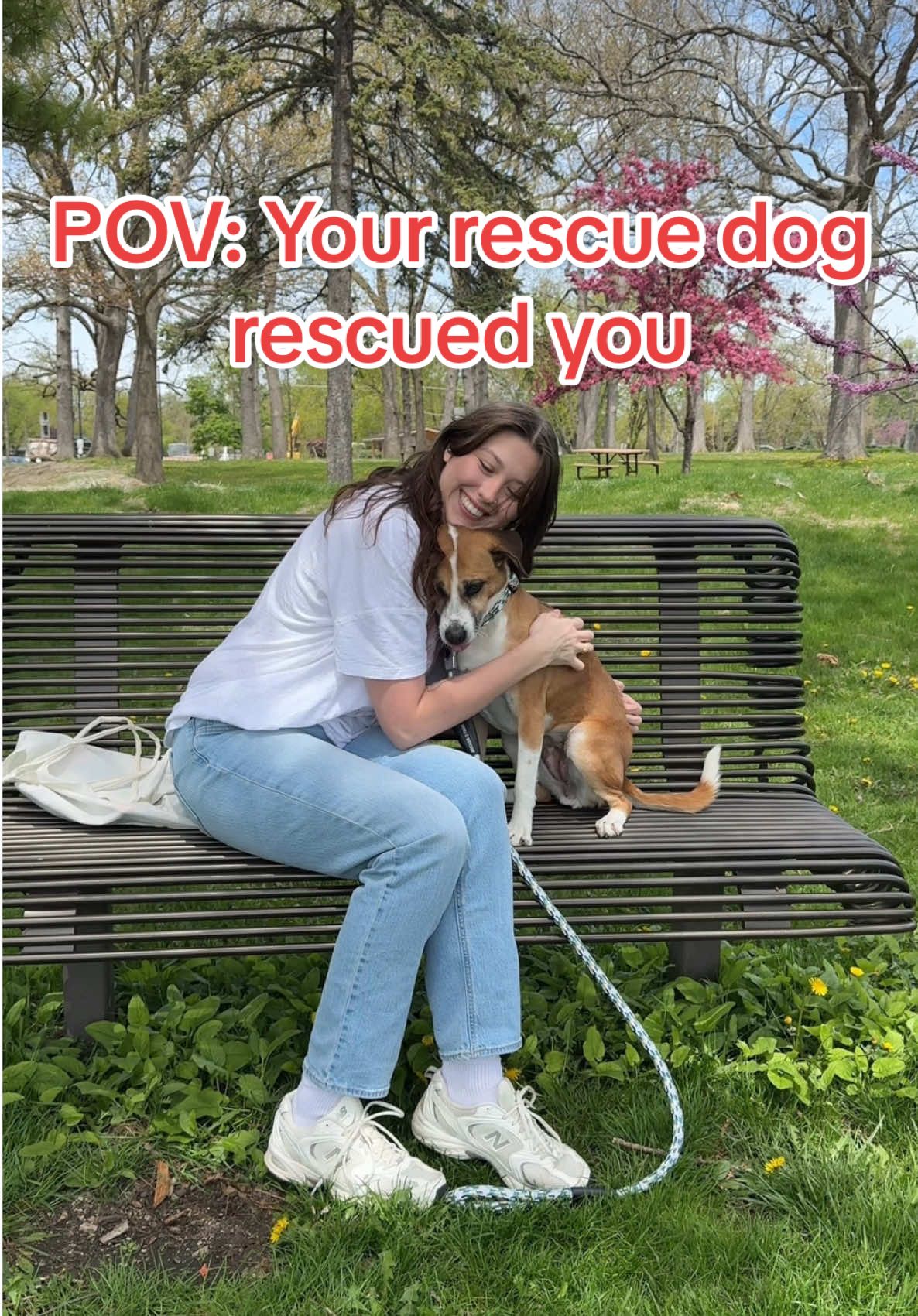 Thinking about adopting a pet? This is your sign ❤️🐾 Tell us how your rescue changed your life in the comments – we want to hear your story 🫶 #petsmart #anythingforpets #adoptdontshop #adopteddog #rescuedogs #petparent @Julia | Maggie, Luci, & Remi 