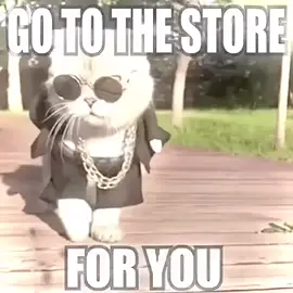 #bladee #cat #щитпост #drain 