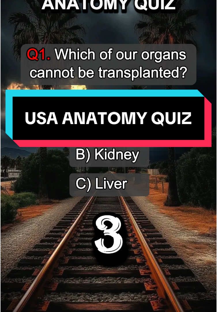 Anatomy quiz!#quiz #quiztime #usa #usa🇺🇸 #anatomy #anatomyclass #medicine #biology #quizchallenge #knowledge #challenge #trivia #brainteaser #doctor #nurse #nursesoftiktok #doctorsoftiktok #LearnOnTikTok #trending 