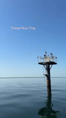 Tampa Boys trip was a success 🙌🏻 WHERE TO NEXT THOUGH - big thanks to @tampafishingcharters for having us #music #talent #funny 