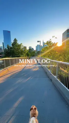 Life as a hotel content creator in Philly #contentcreator #vibes #fyp #travel #traveltiktok #tiktok #hotel #hotellife #work #worklife 