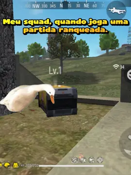Quando eu e meu squad estamos alinhados, é só capa! 😎 #freefirethofficial #FreefireBrasil #Freefirememe #Freefirememes #memefreefire