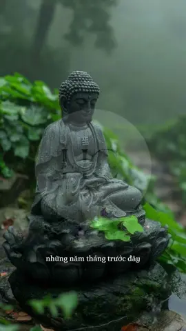 mình luôn nghĩ 🍃#trituetinhthuc #hocphatmoingay #thayminhniem #phatphap 