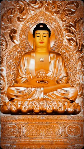 NAM MÔ A DI ĐÀ PHẬT NAM MÔ QUAN THẾ ÂM BỒ TÁT NAM MÔ ĐẠI THẾ CHÍ BỒ TÁT NAM MÔ ĐỊA TẠNG VƯƠNG BỒ TÁT NAM MÔ THANH TỊNH ĐẠI HẢI CHÚNG BỒ TÁT NAM MÔ CẦU SÁM HỐI BỒ TÁT MA HA TÁT   Con xin sám hối những tội lỗi từ vô lượng kiếp của con cho đến kiếp này , nhờ sự che chở của các Ngài để con sớm thoát khỏi luân hồi được trở về với Phật Tánh không bị vô minh bởi tất cả tham sân si che lấp. Nguyện cầu thế giới trong 6 nẻo vẫn còn luân hồi khi nghe được tất cả Hồng Danh của Chư Phật Bồ Tát sớm thoát ra khỏi 6 đường luân hồi sanh tử ,Hoa Khai Tri Kiến Phật🪷🙏 HOA KHAI KIẾN PHẬT NGỘ VÔ SANH🪷🪷🪷🪷