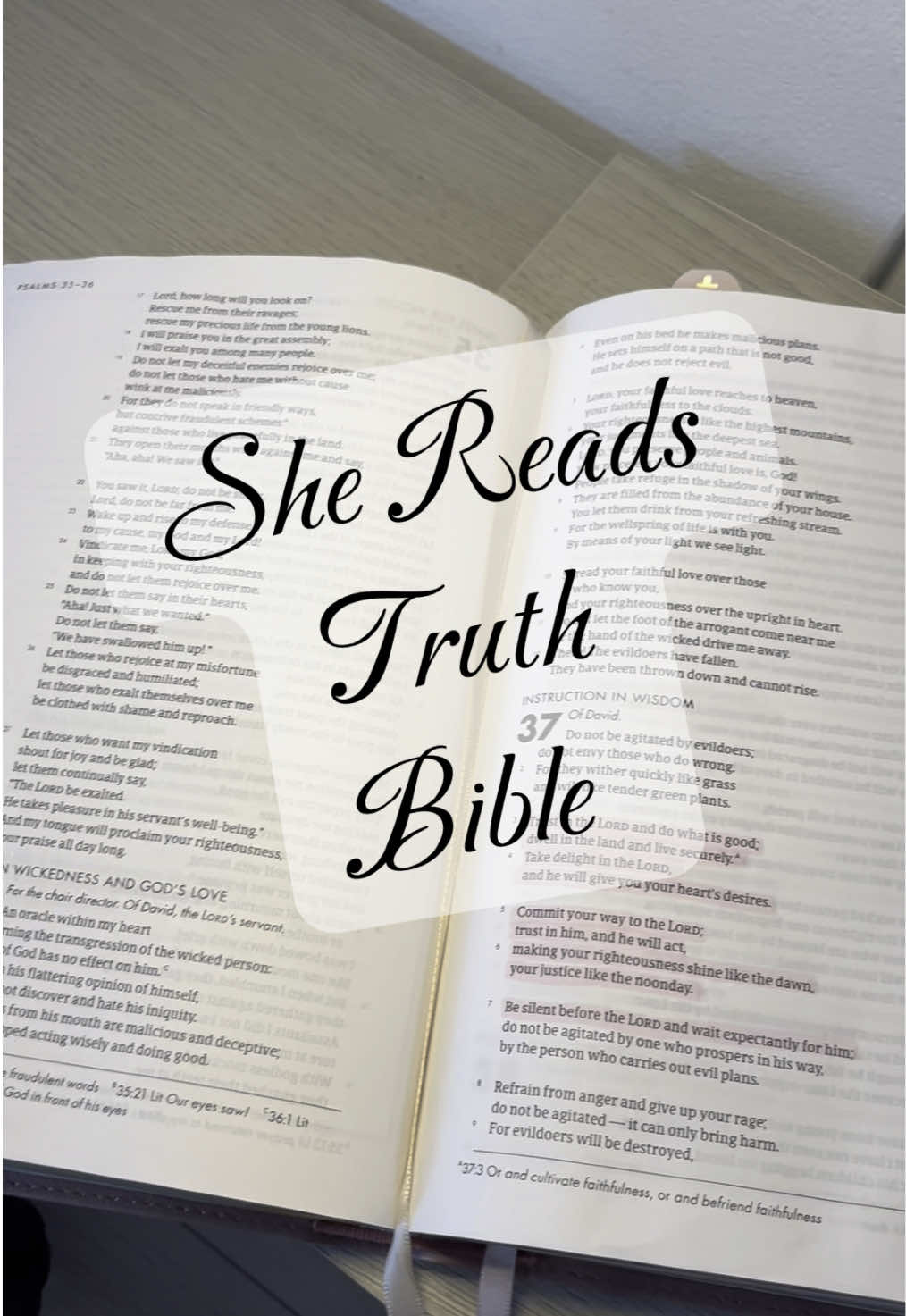 Love this Bible 🙌🏼🤍✝️ Timelines & Beautiful Calligraphy #shereadstruth #shereadstruthbible #bible #biblestudy #bibleverse #jesus #jesuslovesyou #god #godisgood #scripture #christiantiktok #christian #pray #prayer #amen 