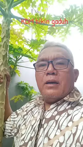 #politik #politikpraktis #politikindonesia 