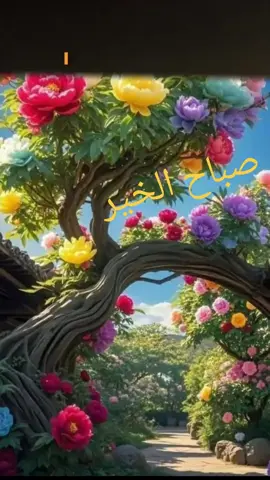 #CapCut .#صباح_الخير 