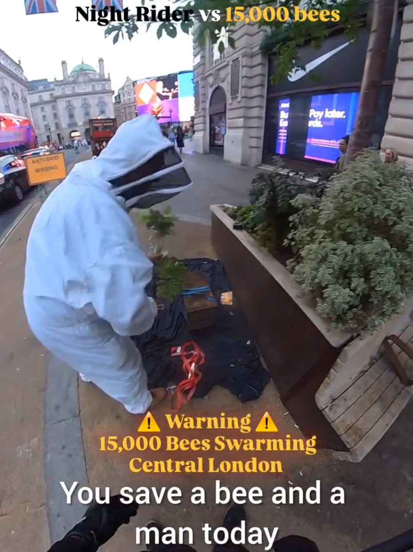 Night Rider 🥷🏿 Vs 15,000 bees 🐝  #motorbike#motorbikevideo#motorbikelife#motorbikegirls#motorbikechallenge#motorvideo#bikevideo#motorbikeaccident#bikevideos#motorbikegirl#motorbikemilly#motorcyclevideos#94motorbike#bmwmotorbike#xtrimemotorbike 