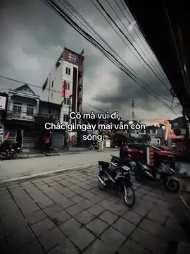 cố mà vui đi....... #xuhuongtiktok#tt 