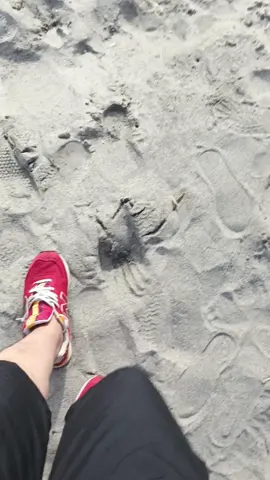 🌊