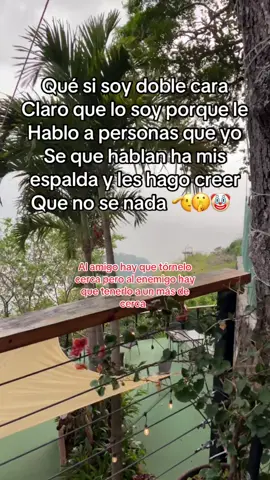 Triste realidad de muchos #raton #queso #cosasdelavida #fvp #durarealidad #paratiiiiiiiiiiiiiiiiiiiiiiiiiiiiiii #viralvideos #estadosdewhatsapp #raton #fvd #🤡 