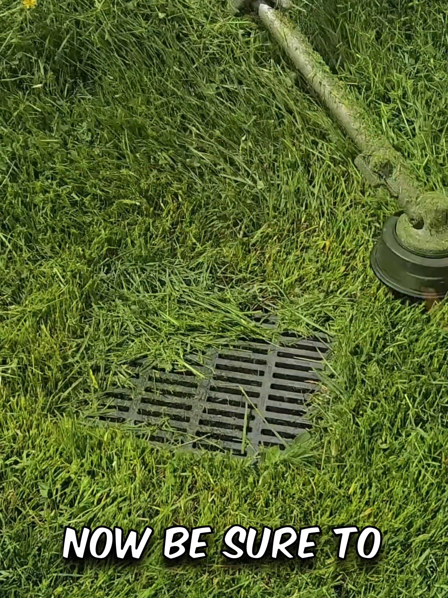 Clean It Up Or We Will FINE YOU #lawncare #satisfying #cleanup #fyp #foryou #mowing #lawns #cleaning #CleanTok #lawntok #relaxing #soothing #viral #viralvideo #fillslawncare