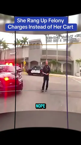 She Rang Up Felony Charges Instead of Her Cart #cops #copsoftiktok 